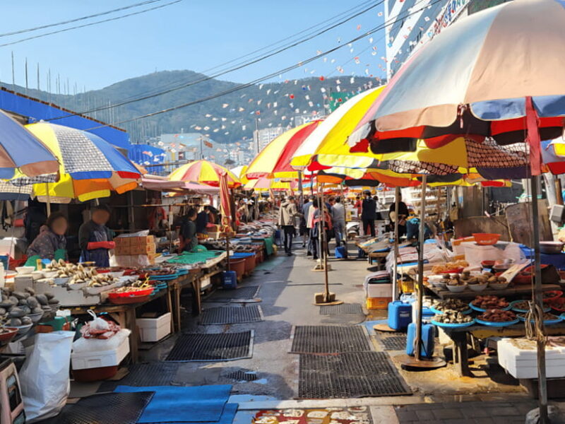 Busan: Sightseeing Tour for Cruise Passengers - An In-Depth Look at the Busan Cruise Tour Experience