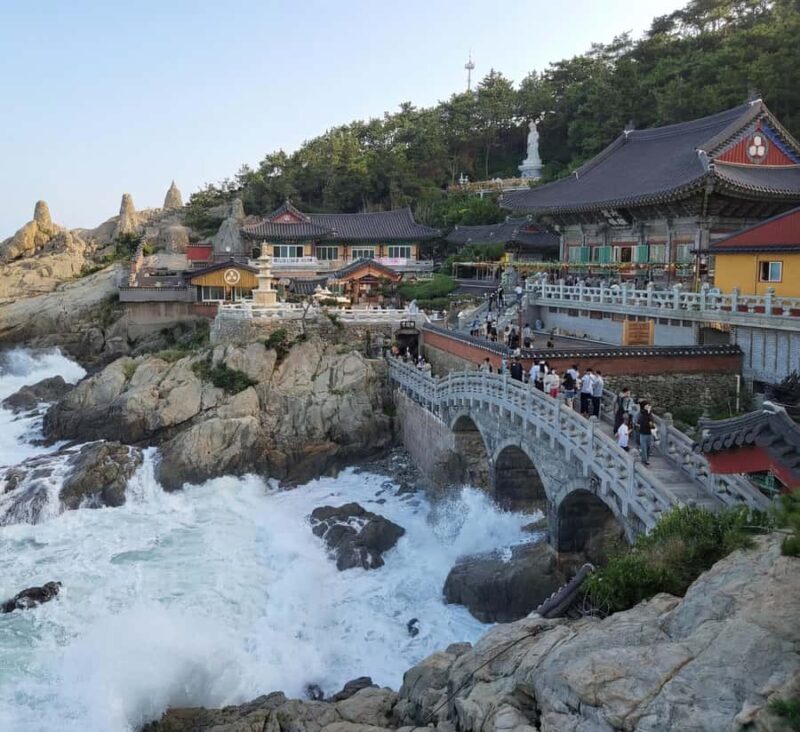 Busan: Small Group with Hotel Pickup Sky Capsule Local Guide - The Value for Money