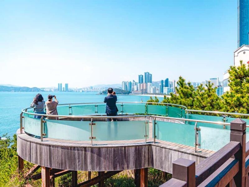 Busan: Spring Cherry Blossom & Gyeongju Highlights Day Tour - Who Will Love This Tour?