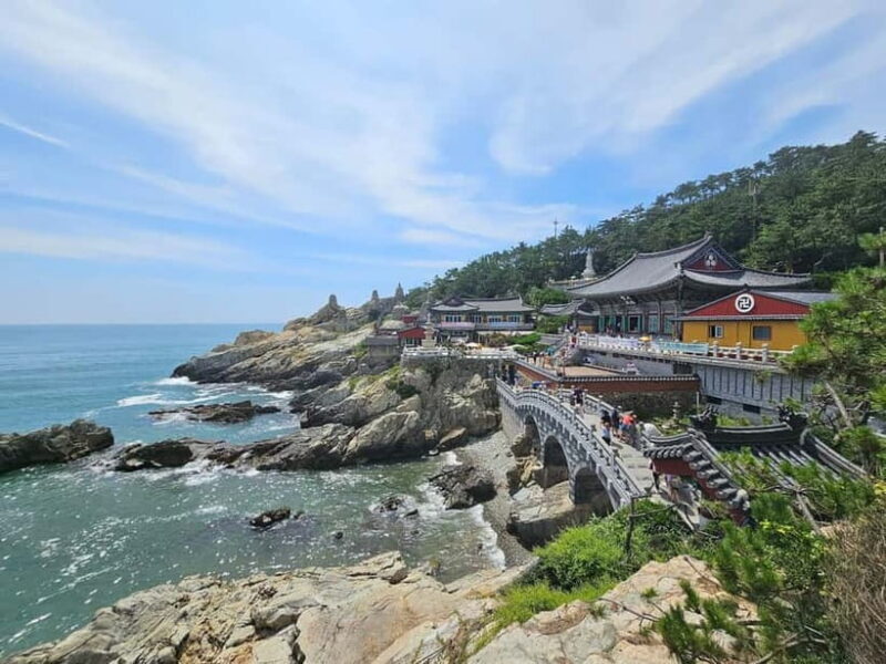 Busan Tour with Gamcheon Village & haedong yonggungsa temple - What to Expect: A Closer Look at the Busan Day Tour