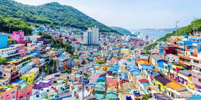 Busan Tour with Gamcheon Village & haedong yonggungsa temple - Who Would Love This Tour?
