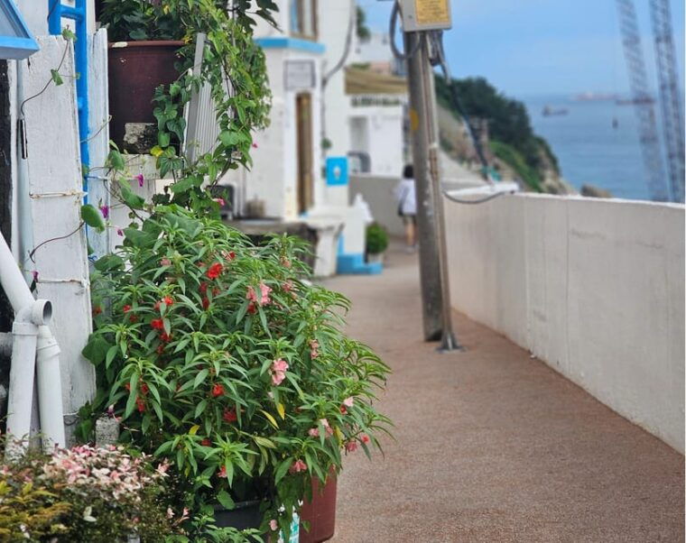 busan-tourtaejongdae-huinnyeoul-gamcheon-songdoskywalk