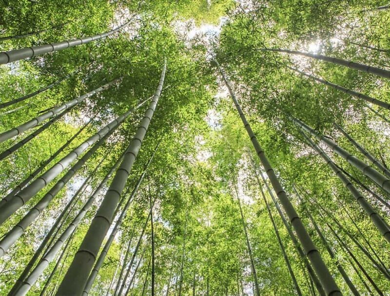 Busan: Well-Rounded Small-Group Busan Tour with Hotel Pickup - Final Thoughts