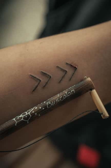 BUSCALAN MEETING APO WANG-OD WITH BANAUE RICE TERRACES - Side Trip Options: Banaue Rice Terraces or Northern Blossom