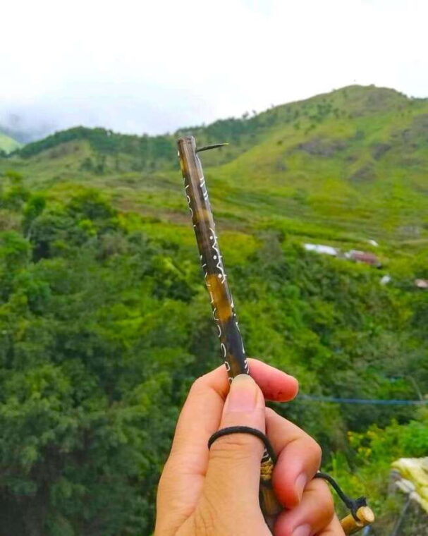 buscalan-village-apo-whang-od-tattoo-sagada-baguio-4d3n