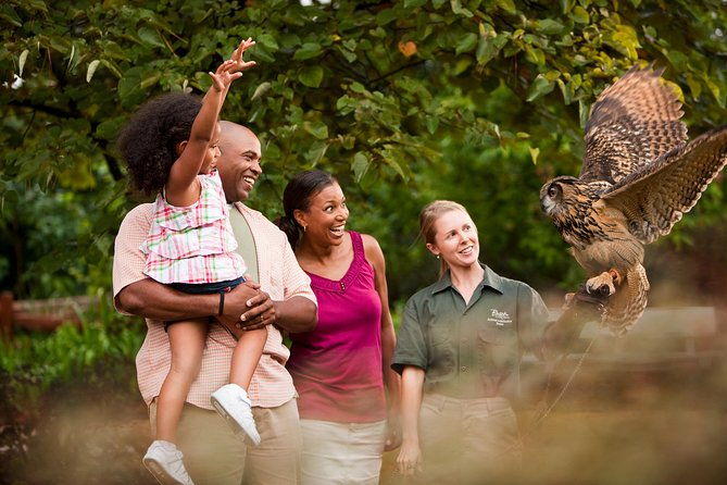 busch-gardens-williamsburg-admission-ticket