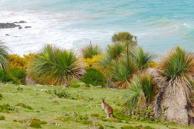 Bush and Bay in a Day - An In-Depth Look at What to Expect