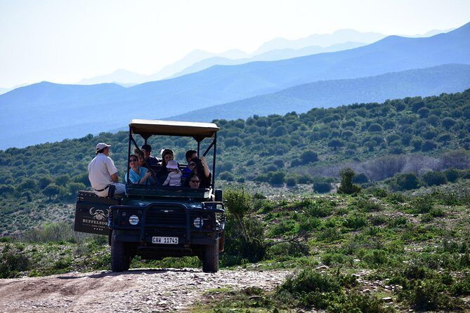Bush Safari - Exploring the Bush Safari Experience in South Africa