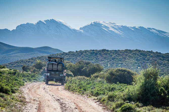 Bush Safari - FAQ