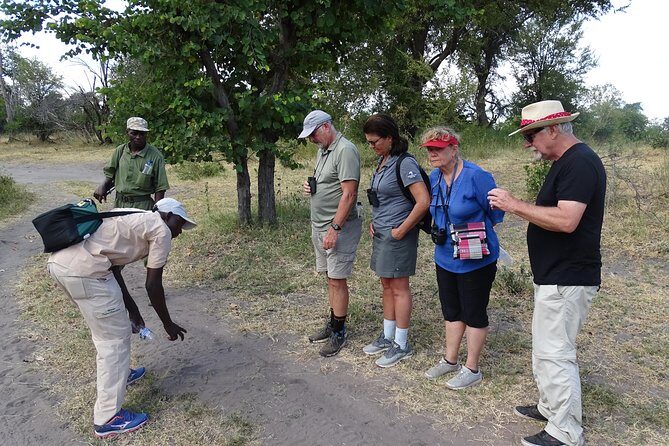 Bush Walking Safari Experience & Rhino Safari - MINIMUM 2 PEOPLE - Discover the Bush Walking Safari & Rhino Experience in Livingstone