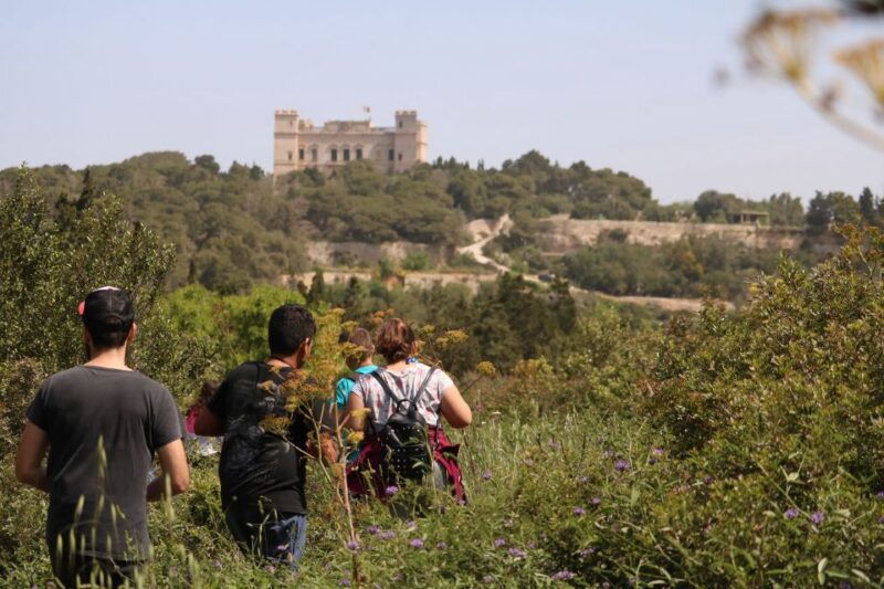 buskett-woodlands-and-dingli-cliffs-private-nature-tour