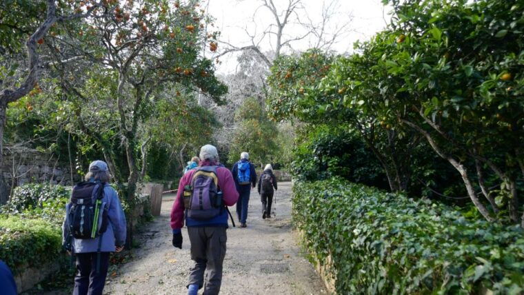 buskett-woodlands-and-dingli-cliffs-private-nature-tour