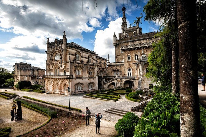 bussaco-palace-gardens-forest