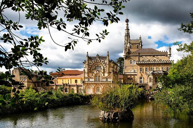 bussaco-palace-gardens-forest