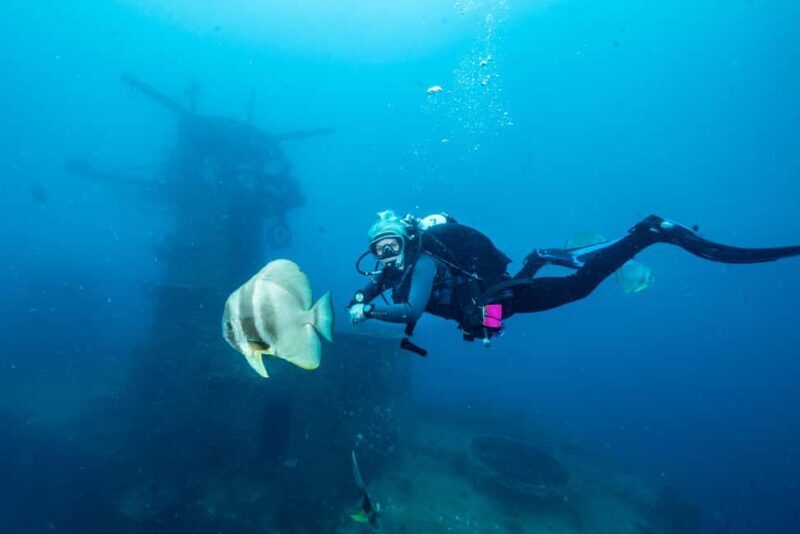 Busselton / Dunsborough : HMAS Swan Wreck Scuba Dive - The Value and Who Should Consider This Tour