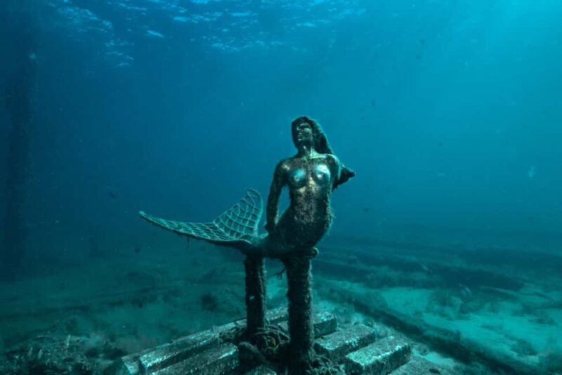 Busselton: Jetty Discover Scuba Diving Experience - An Accessible Gateway to Underwater Adventures