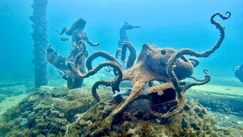 Busselton: Jetty Snorkeling Tour with Underwater Sculptures - Key Points