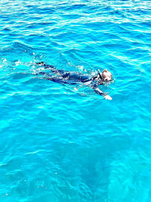 Busselton: Jetty Snorkeling Tour with Underwater Sculptures - An In-Depth Look at the Busselton Snorkeling Tour