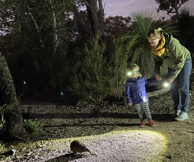 Busselton: Nocturnal Animal Tour - The Itinerary and What Makes Each Part Special