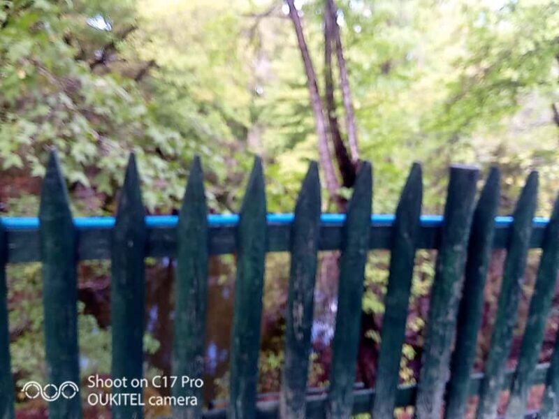 Butterfly valley,Farfalle,Schmetterling,Papillon & transfer! - The Itinerary Breakdown: From Monastery to Wildlife