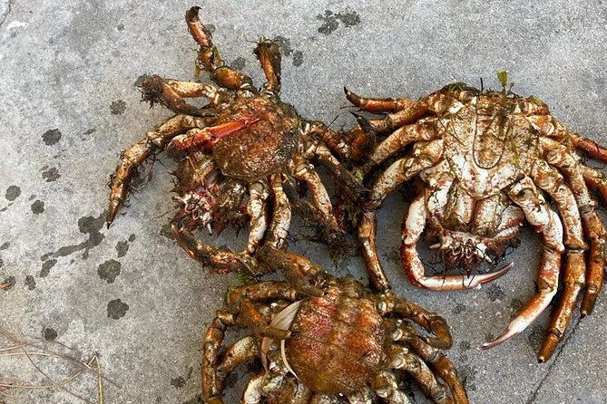 buy-cook-taste-gastronomic-tour-north-portugal-2