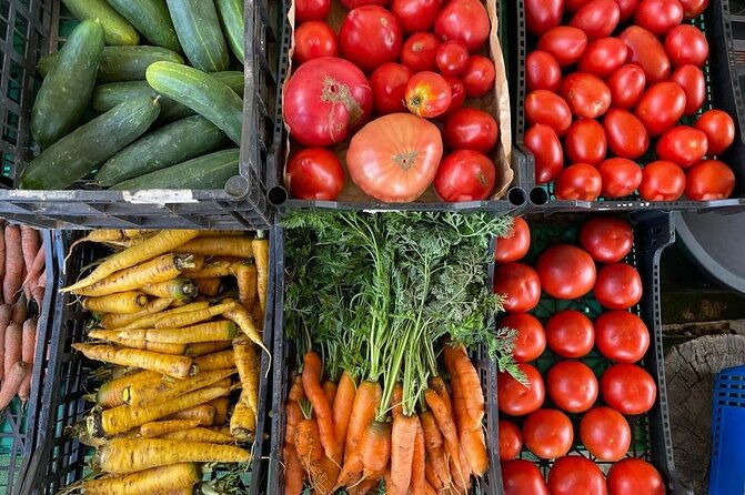 buy-cook-taste-gastronomic-tour-north-portugal