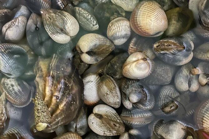 buy-cook-taste-gastronomic-tour-north-portugal