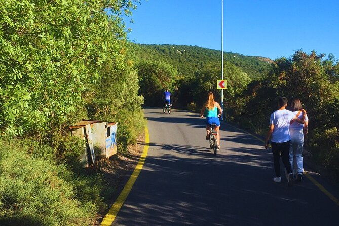 buyukada-e-bike-tour-with-local-tour-guide