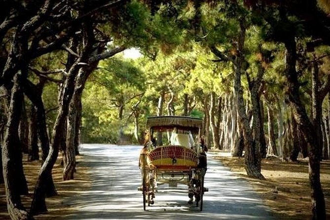 buyukada-princes-island-guided-day-tour-with-lunch-from-istanbul-4