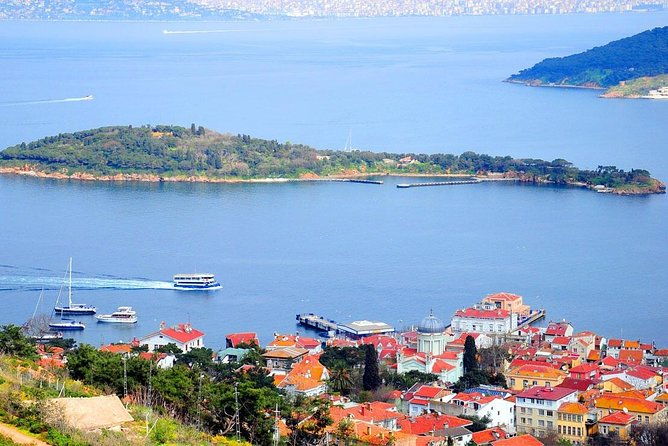 buyukada-princes-island-guided-day-tour-with-lunch-from-istanbul-4