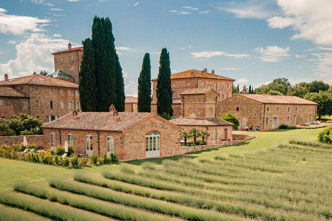 by-ebike-visit-an-art-park-and-wine-taste-in-the-classic-chianti