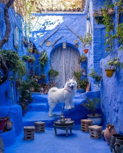 By Group - Chefchaouen bleu city Day Trip with Small Group - Who Will Love This Experience