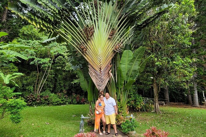 byodo-temple-and-waimea-botanical-garden-tour