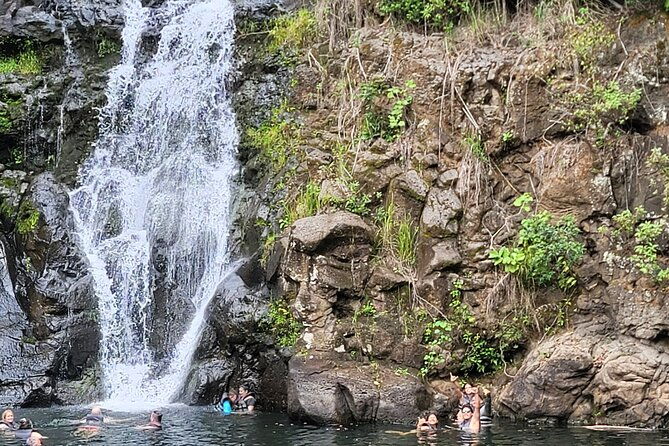 byodo-temple-and-waimea-botanical-garden-tour