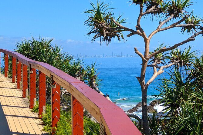 Byron Bay, Bangalow and Gold Coast from Brisbane  Private Tour - The Farm: A Coffee and Animal Break