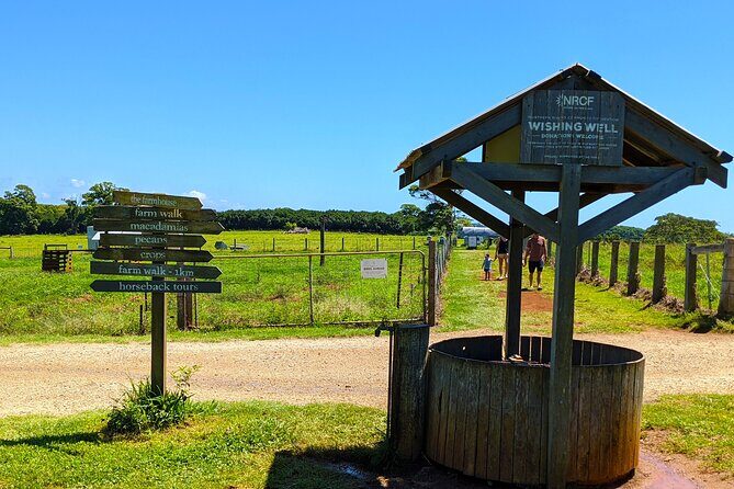 Byron Bay, Bangalow and Gold Coast from Brisbane  Private Tour - Optional Stop: Byron Bay Wildlife Sanctuary