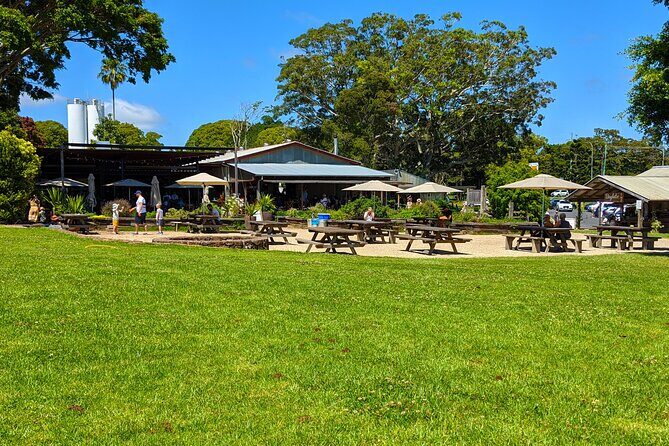 Byron Bay, Bangalow and Gold Coast from Brisbane  Private Tour - Mick Schamburg Park: Views of the Gold Coast