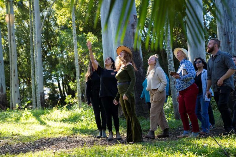 Byron Bay: Bangalow Bush Tucker Tour - Unpacking the Experience: What to Expect from the Byron Bay Bangalow Bush Tucker Tour  