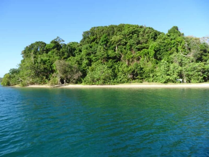 Byron Bay: Brunswick River Eco-Cruise with Brunch - Key Points