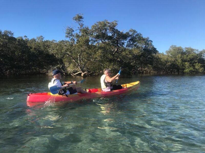 Byron Bay: Brunswick River Scenic Kayak Tour - Discovering the Brunswick River: What to Expect