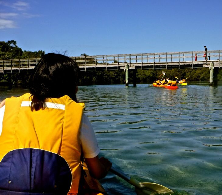 Byron Bay: Brunswick River Scenic Kayak Tour - The Value of the Brunswick River Kayak Tour