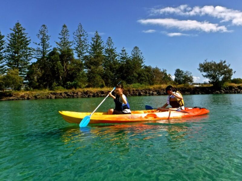 Byron Bay: Brunswick River Scenic Kayak Tour - The Sum Up