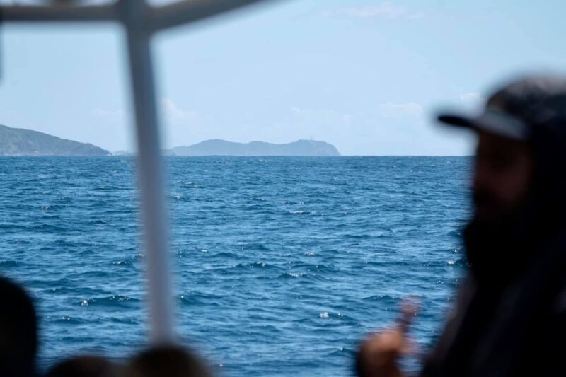 Byron Bay: Cruise with Dolphins Tour - Key Points