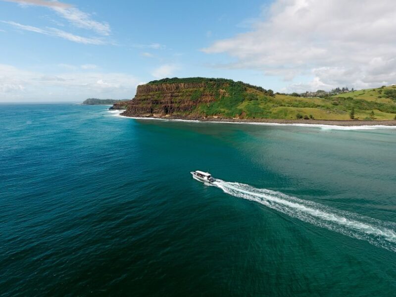 Byron Bay: Cruise with Dolphins Tour - Practicalities and Value