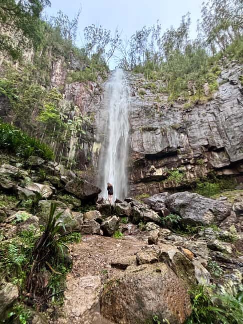 Byron Bay: Glowworms, Waterfalls & Rainforest Experience - Key Points