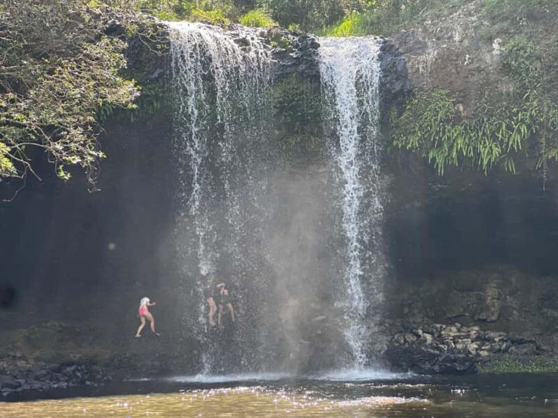 Byron Bay: Rainforest Waterfalls Guided Eco Tour - Key Points