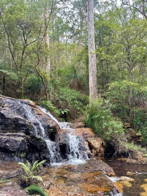 Byron Bay: Rainforest Waterfalls Guided Eco Tour - Final Thoughts