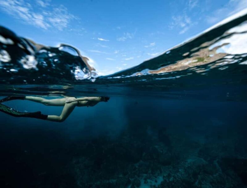 Byron Bay: Snorkeling Tour at Julian Rocks, Nguthungulli - The Itinerary: What to Expect on the Day
