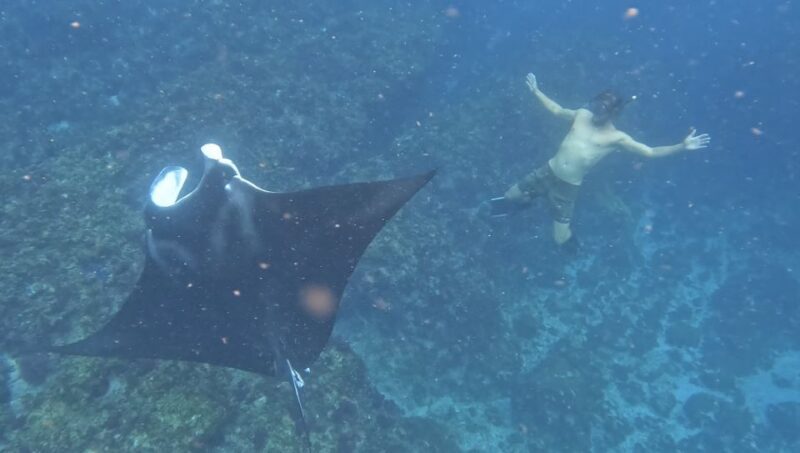 Byron Bay: Snorkeling Tour at Julian Rocks, Nguthungulli - Who Should Book This Tour?