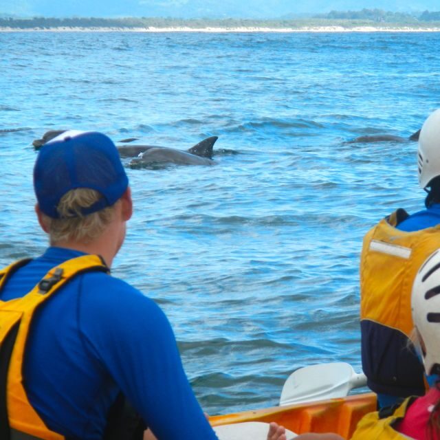 Byron Bay: The Byron Bay Sea Kayak Tour - Key Points